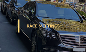 Baku Race Meetings Chauffeur